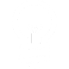 Light (1).png